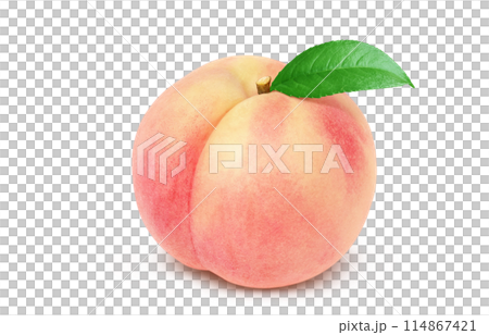 Peach illustration realistic white background 114867421