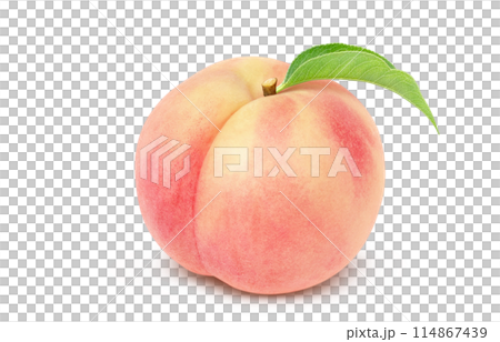 桃子插畫真實白色背景 桃子插畫真實白色背景 114867439