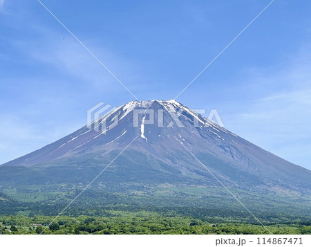富士山(春) 富士山(春) 114867471