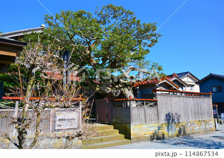 加賀橋立伝統的建造物群保存地区　北前船の里資料館　酒谷邸 114867534