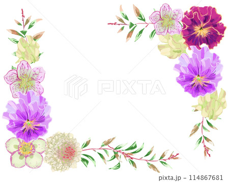 パンジーフリルフレームイラスト 114867681
