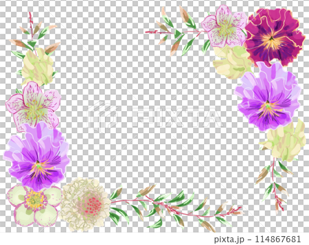 パンジーフリルフレームイラスト 114867681