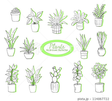 House plants in pots on a white background. Simple doodle home plants. Botany illustrations of gardening. Natural trendy home decor. Vector set of outline drawings of houseplants, and succulents in House plants in pots on a white background. Simple doodle home plants. Botany illustrations of gardening. Natural trendy home decor. Vector set of outline drawings of houseplants, and succulents in 114867722