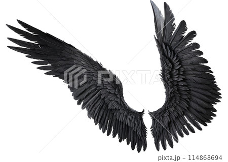 black angel wings 114868694