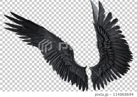 black angel wings 114868694