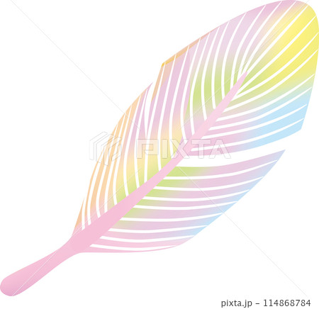 カラフルな羽のイラスト 114868784