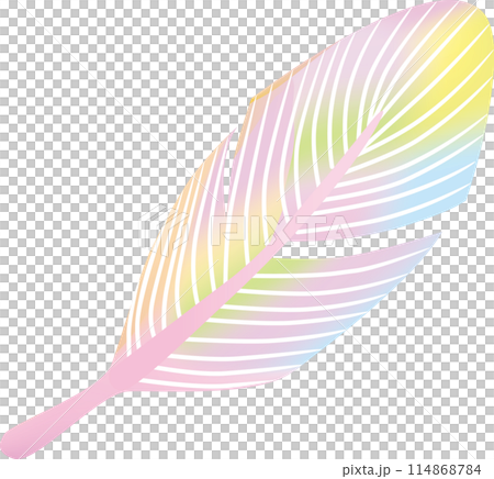 カラフルな羽のイラスト 114868784