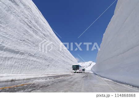 雪の大谷  立山黒部アルペンルート  114868868