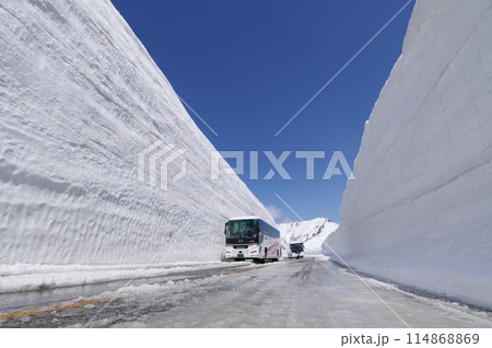 雪の大谷 立山黒部アルペンルート 雪の大谷 立山黒部アルペンルート 114868869