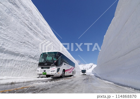雪の大谷 立山黒部アルペンルート 雪の大谷 立山黒部アルペンルート 114868870