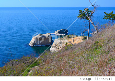 加佐ノ岬 鳥井崎 猫岩 加賀海岸 加賀市 加佐ノ岬 鳥井崎 猫岩 加賀海岸 加賀市 114868941