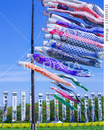 栃木県那須町  ハートフルファーム 青空に映える菜の花 114869515