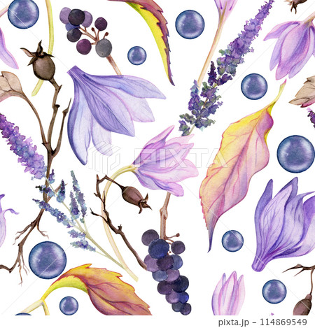 Hand drawn watercolor illustration shabby boho botanical flowers leaves. Crocus saffron rose hip veronica lavender berries. Seamless pattern isolated on white background. Design wedding, paper fabric 114869549