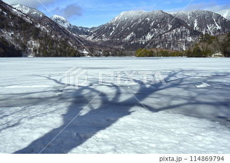 結氷した奥日光湯ノ湖に湖畔の木の影 114869794