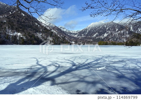結氷した奥日光湯ノ湖に湖畔の木の影 114869799