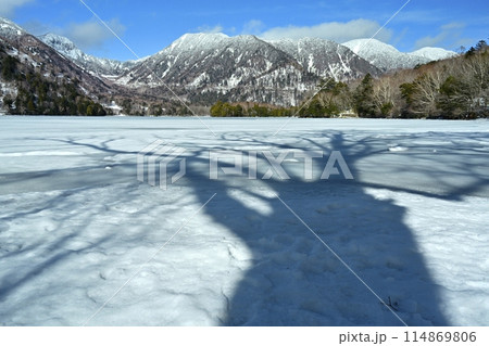 結氷した奥日光湯ノ湖に湖畔の木の影 114869806