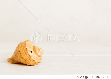 Summer time concept with sea shells or starfish on a table background with copy space for text 114870204