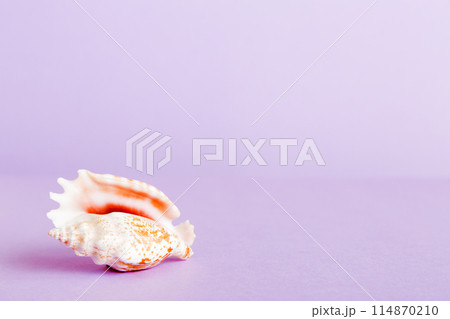 Summer time concept with sea shells or starfish on a table background with copy space for text 114870210