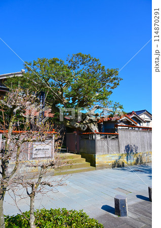 加賀橋立北前船主集落 北前船の里資料館 酒谷邸 加賀市 加賀橋立北前船主集落 北前船の里資料館 酒谷邸 加賀市 114870291