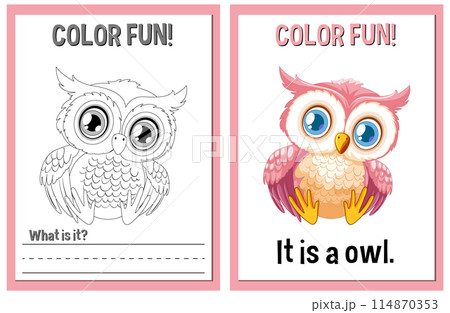 Color Fun Owl Illustration Activity 114870353