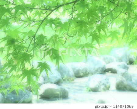 青空に映えるモミジの新緑 114871068