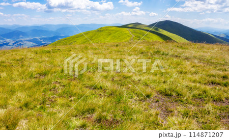 scenery with grassy alpine meadow. beautiful carpathian mountain landscape of borzhava ridge. popular travel destination of ukraine on a sunny day in summer scenery with grassy alpine meadow. beautiful carpathian mountain landscape of borzhava ridge. popular travel destination of ukraine on a sunny day in summer 114871207