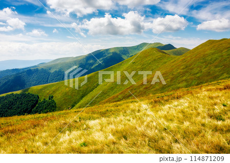 scenery with grassy slopes of borzhava ridge. scenic carpathian mountain landscape with stoj peak in the distance. popular travel destination of transcarpathia on a sunny summer day 114871209