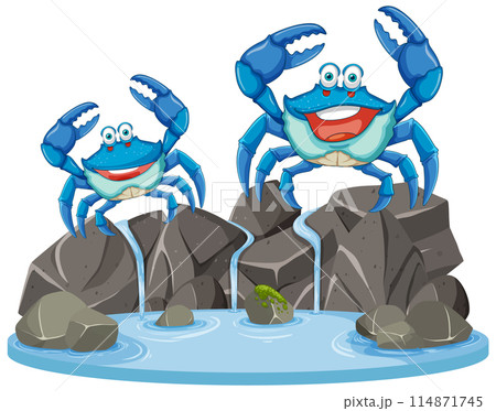 Happy Crabs on Rocky Shore Happy Crabs on Rocky Shore 114871745