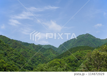 新緑の山並みと青空《季節・風景素材》 114872029