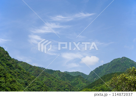 新緑の山並みと青空《季節・風景素材》 114872037