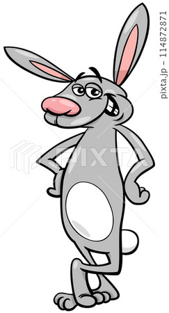 funny cartoon rabbit comic animal character 114872871