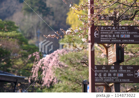 240412中橋桜g075 240412中橋桜g075 114873022