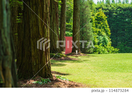 レッドヒル ヒーサーの森、緑美しいセンペルセコイア〈三重県津市〉 114873284