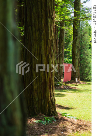 レッドヒル ヒーサーの森、緑美しいセンペルセコイア〈三重県津市〉 114873285