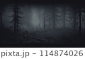 A mysterious forest with tall trees in dense fog, creating an eerie setting 114874026