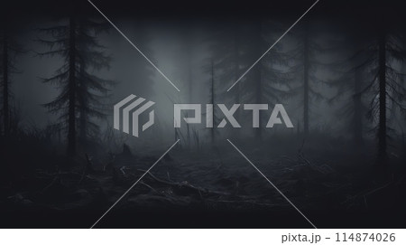 A mysterious forest with tall trees in dense fog, creating an eerie setting 114874026
