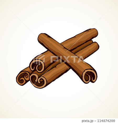 Cinnamon. Vector drawing 114874200