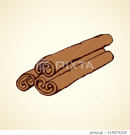 Cinnamon. Vector drawing 114874204