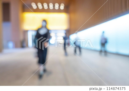 繁華街の背景ぼかし 繁華街の背景ぼかし 114874375