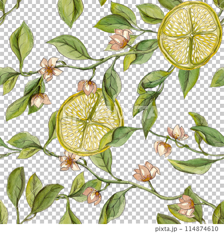 Organic seamless pattern of leaves and flowers. Artistic nature background. Lemon tree and ripe fruits. Creative design. Botanical watercolor illustration. Ideal for pillows, kitchen posters, napkins Organic seamless pattern of leaves and flowers. Artistic nature background. Lemon tree and ripe fruits. Creative design. Botanical watercolor illustration. Ideal for pillows, kitchen posters, napkins 114874610