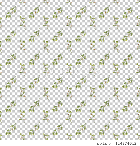 Organic seamless pattern of leaf sprigs with flowers. Nature art print. Hand drawn background. Creative design. Botanical watercolor illustration Organic seamless pattern of leaf sprigs with flowers. Nature art print. Hand drawn background. Creative design. Botanical watercolor illustration 114874612