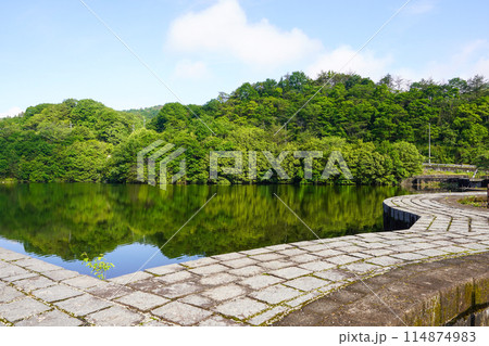 豊稔池堰堤(豊稔池ダム・香川県) 豊稔池堰堤(豊稔池ダム・香川県) 114874983