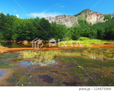 夏の磐梯山・銅沼 114875000
