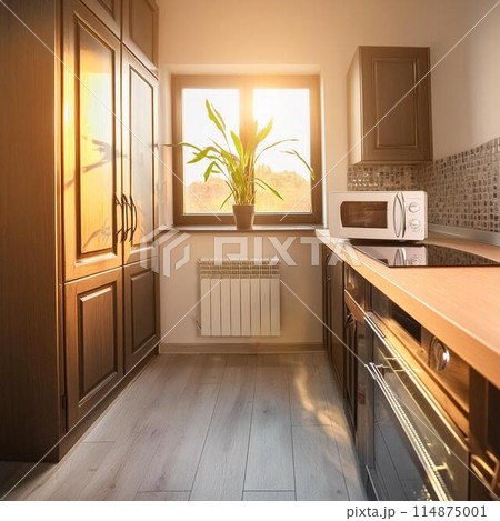 白い部屋 114875001