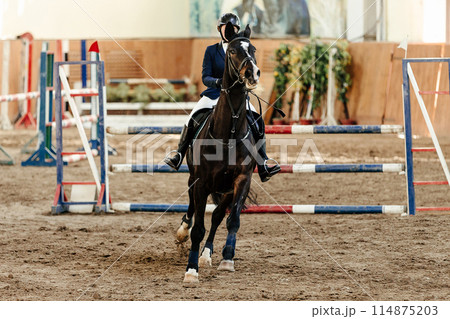 woman rider on blood bay horse in show jumping competition 114875203