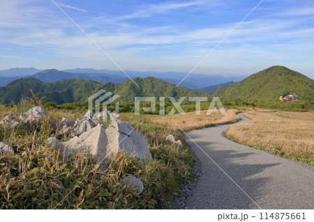 天狗高原　見晴台からの景観　初夏　（高知県　津野町　四国カルスト） 114875661