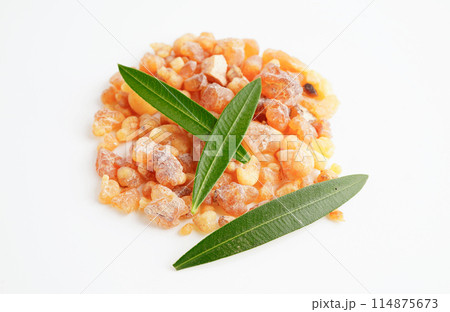 Frankincense or olibanum aromatic resin isolated on white background used in incense and perfumes. Frankincense or olibanum aromatic resin isolated on white background used in incense and perfumes. 114875673