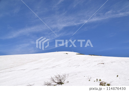月山 114876430