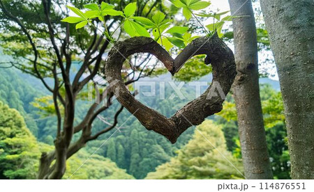 自然風景とハートマーク 114876551