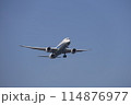 着陸する飛行機 114876977